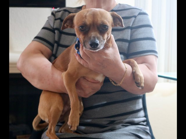 Chico Image