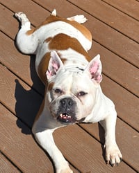 Brenda from Accounting - Photo 4