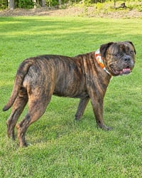 Tootsie Roll - Photo 3