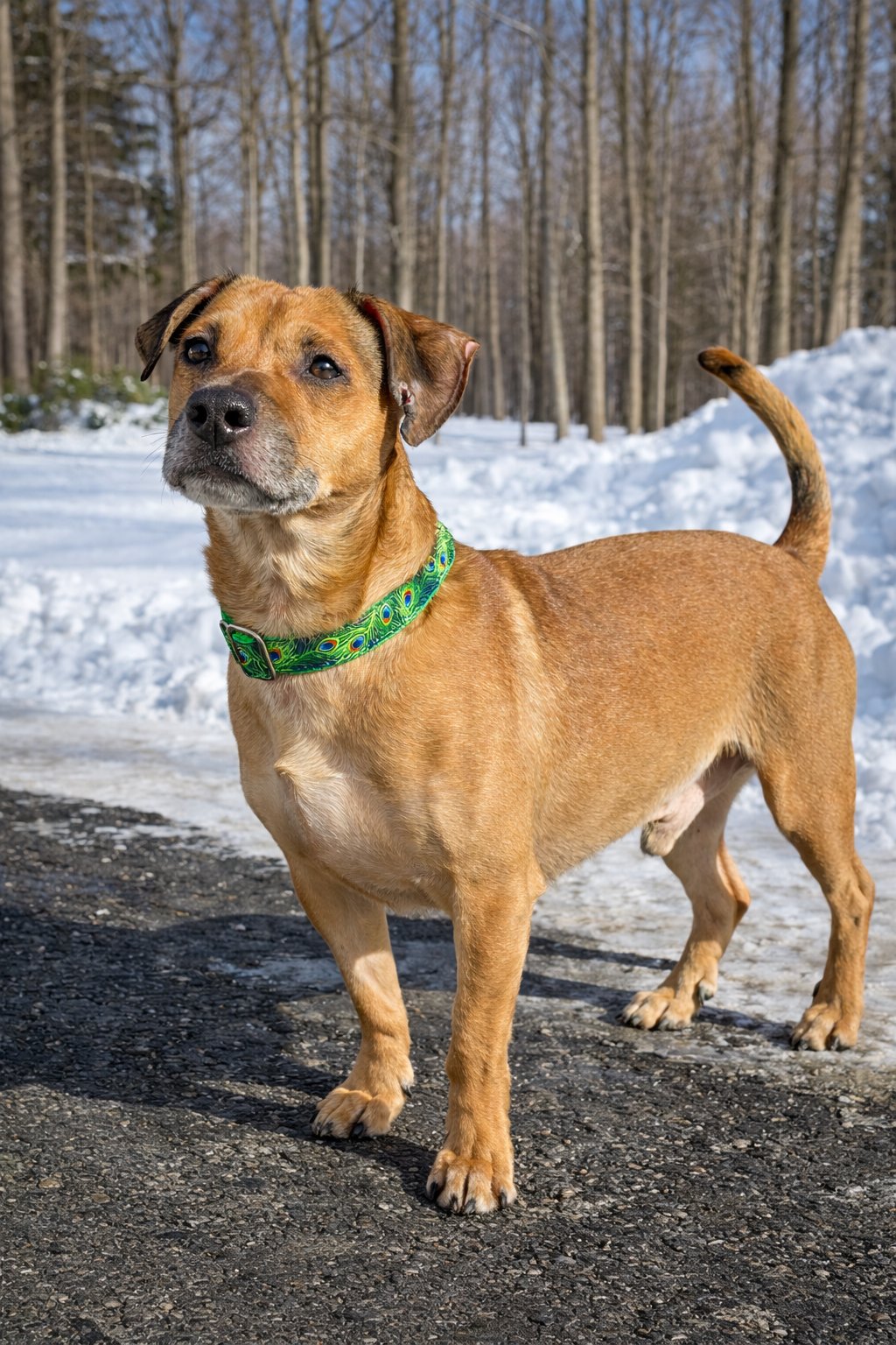 Oscar Mayer - Photo 4