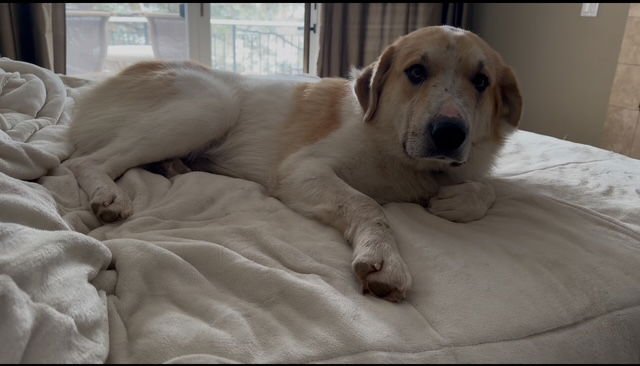 Sampson CO - Photo 3