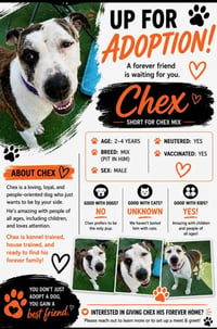 Chex Mix - Photo 5