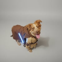 Hankster - Photo 1