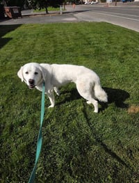 Abigail - Photo 3