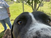 Hutch MO - Photo 3