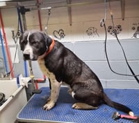 Hutch MO - Photo 4