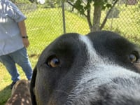 Hutch MO - Photo 3