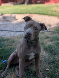 Coco - Photo 1