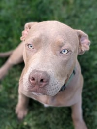 Coco - Photo 2