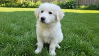 Matilda - Photo 1