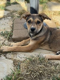 Rita - Photo 1
