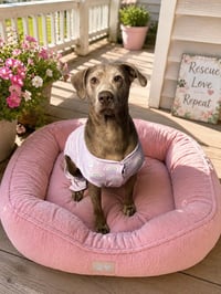 Momma Sally - Photo 1