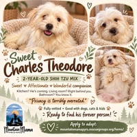 Theo Charlie - Photo 2