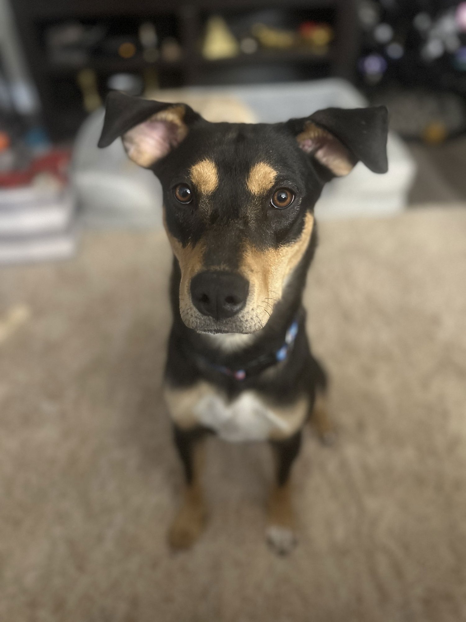 Mama Dorothy - Photo 3