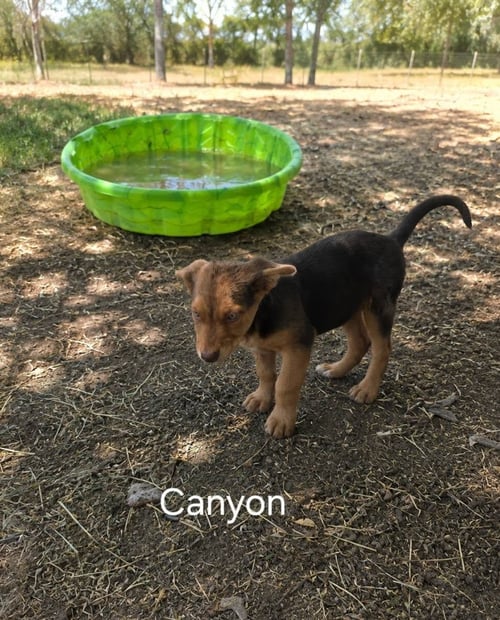 CANYON