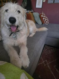 Tobie - Photo 4
