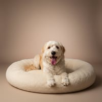Tobie - Photo 1