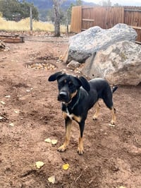 Zena - Photo 2