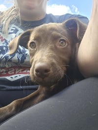Cleo - Photo 3