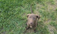 Cleo - Photo 1
