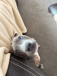 Benny Baby - Photo 4