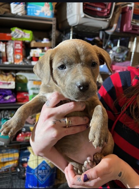 Grizzly Baby - Photo 4