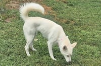 Charlotte - Photo 2