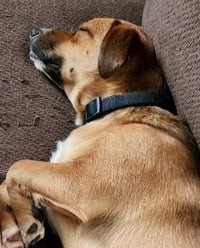 Walter - Photo 4