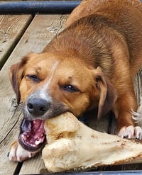 Walter - Photo 3