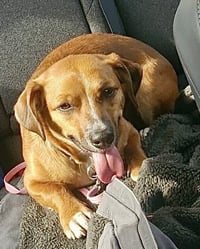 Walter - Photo 2