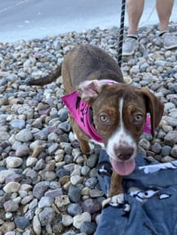 Joanie - Photo 3