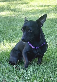 Tootie - Photo 1