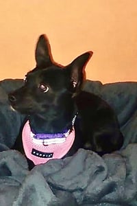 Tootie - Photo 4