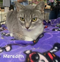 Meredith - Photo 2