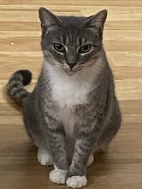 Meredith - Photo 2