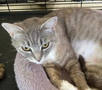 Meredith - Photo 4