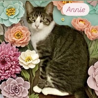 Annie - Photo 3