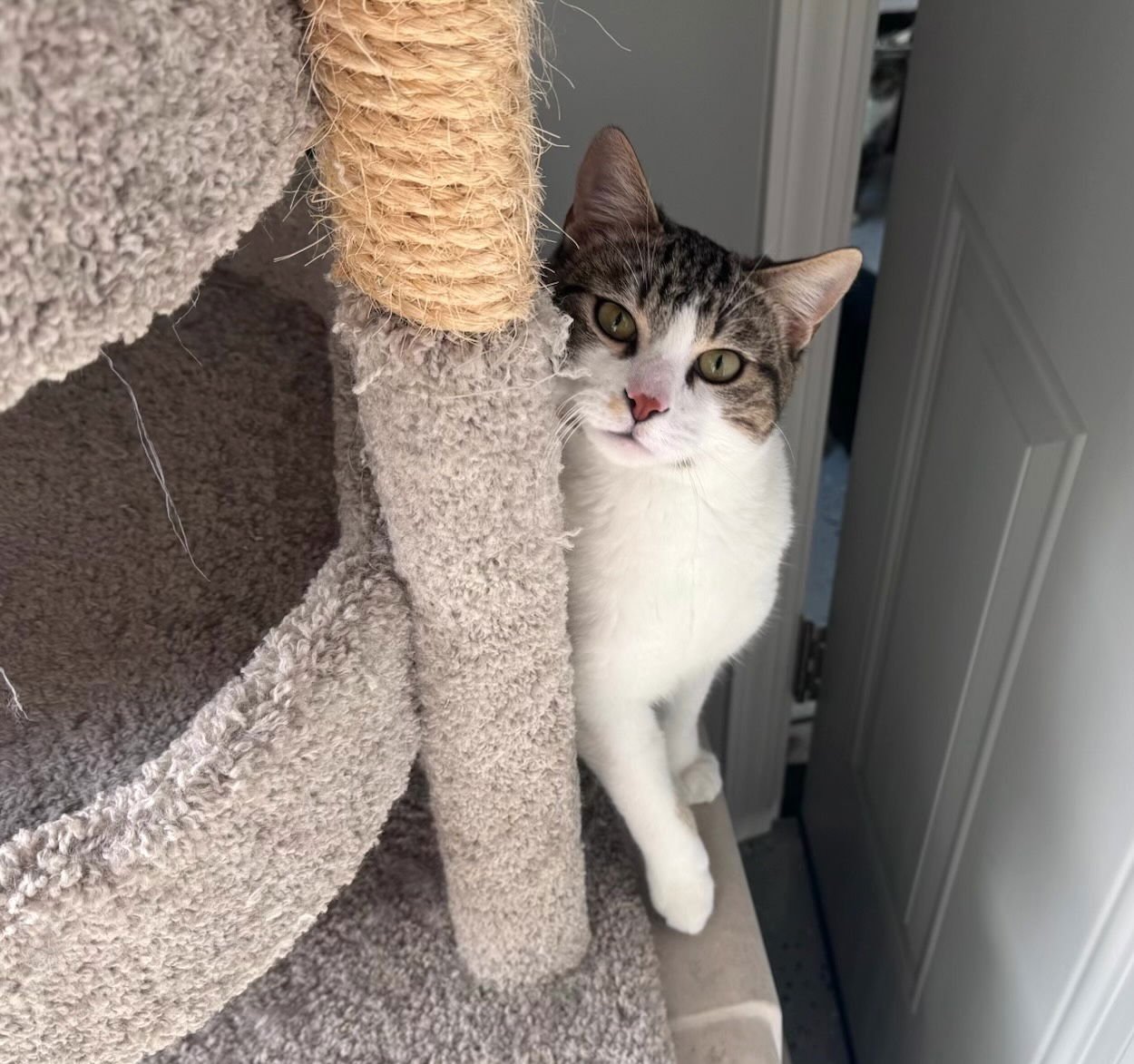 Elvis (& Prissy) - Photo 3