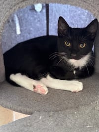 Ethan (& Cruz) - Photo 1