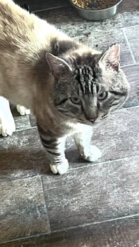 Sterling - Photo 5