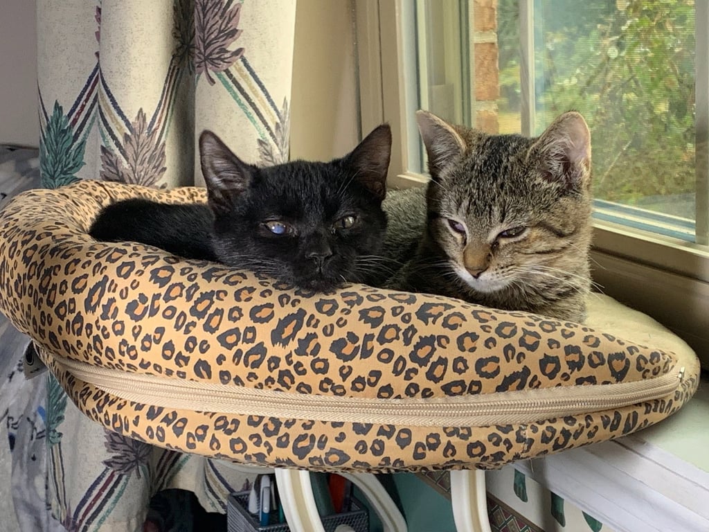 Carter and Tucker Image