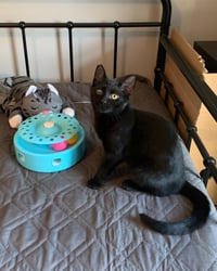 Carter and Tucker - Photo 5