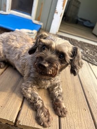 Ebby - Photo 1