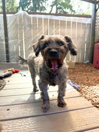 Ebby - Photo 2