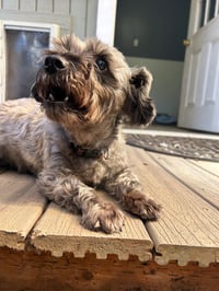 Ebby - Photo 3