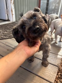 Ebby - Photo 4