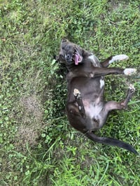 Rachel (Cocoa) - Photo 3