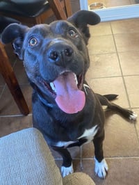 Rachel (Cocoa) - Photo 4