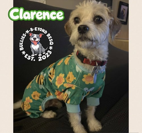 CLARENCE