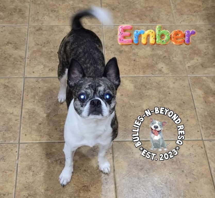 Ember Image